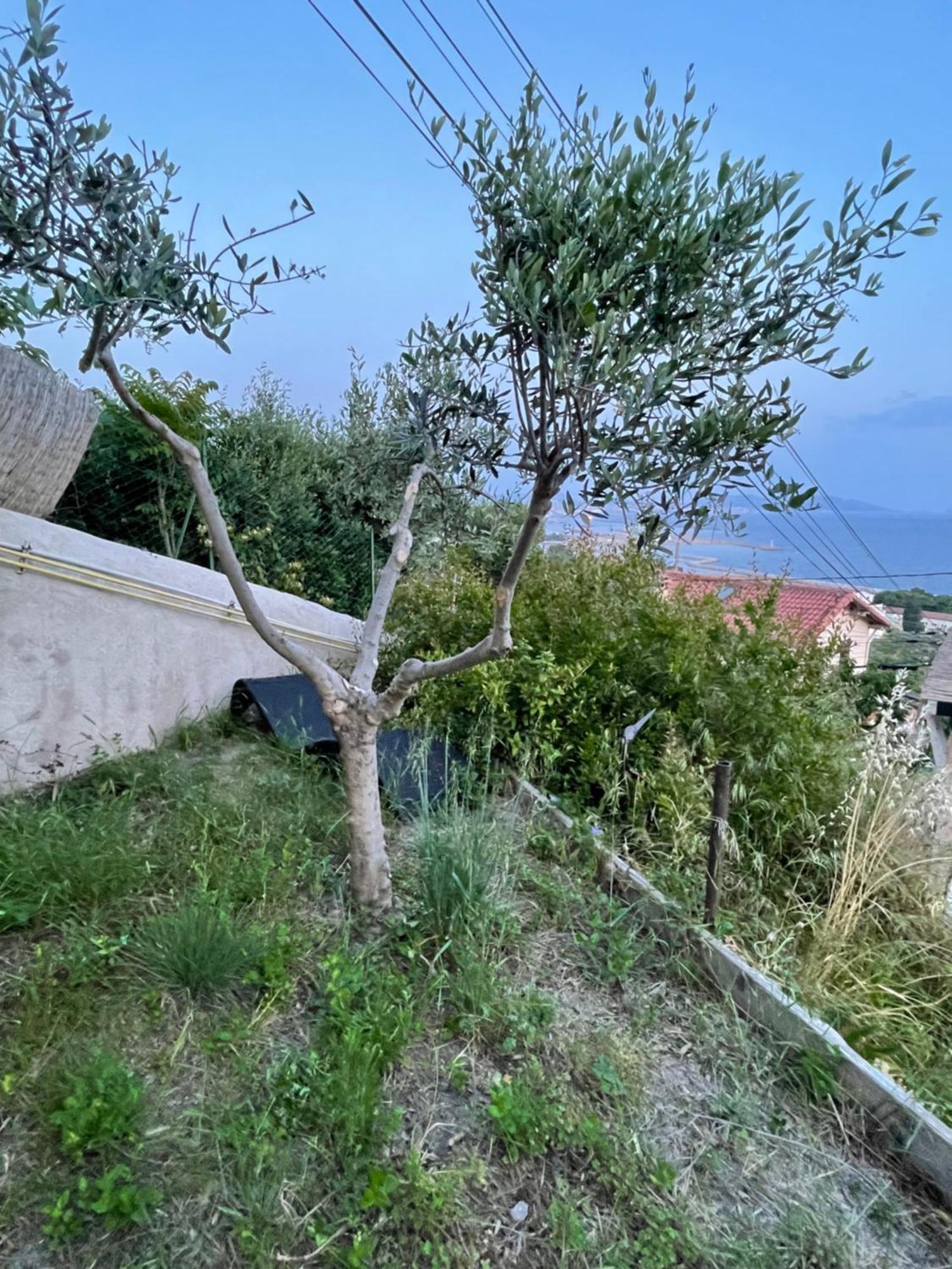 Magnifique Vue Sur La ... Appartamento *